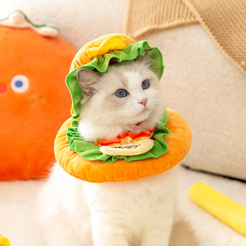宠物变身装网红搞怪猫咪汉堡套装