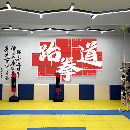 跆拳道馆背景墙装饰画