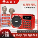 鸚鵡學說話神器錄音機鳥用復讀八哥教語話機學習鷯哥口哨訓練玄風