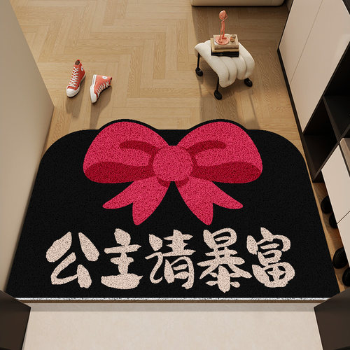 【设计师专款】入户丝圈地垫