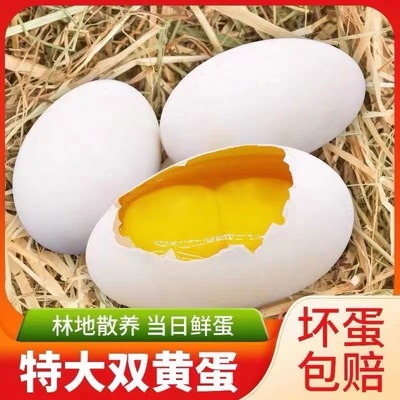 微山湖散养特大双黄居多土鹅蛋130-150g一枚整箱包邮12枚