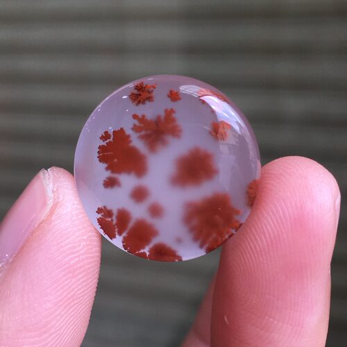 原矿高冰飘花圆牌  尺寸19.2x7.3mm   重4.5克   底色白飘花