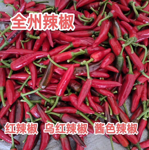 全州辣椒新鲜红辣椒桂林农家土辣椒广西乌红辣椒可做泡椒青乌辣椒