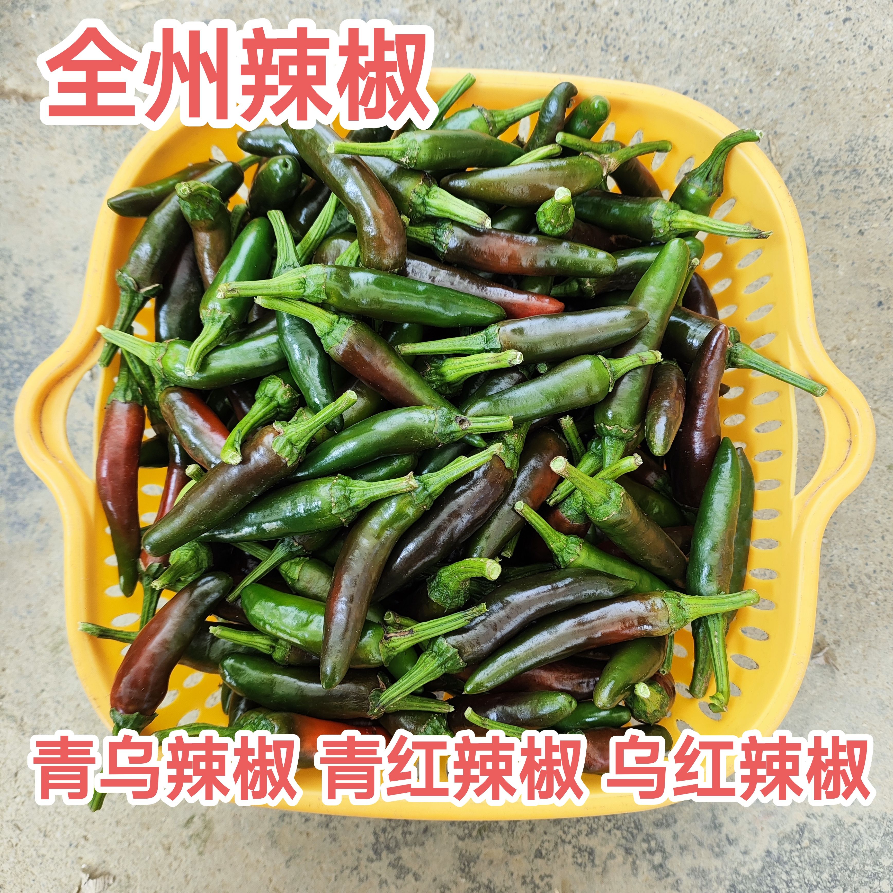 酱色辣椒乌红辣椒紫红辣椒广西农家小辣椒全州土辣椒做泡椒酸辣椒