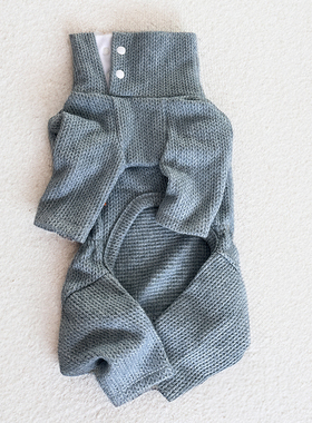 宠物狗狗秋冬针织四脚保暖衣泰迪约克夏小型犬比熊蓝色高领打底衫