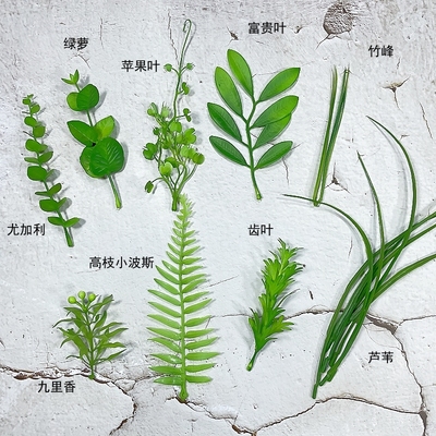 仿真九里香竹峰齿叶绿萝芦苇富贵叶小叶子绿叶绿植柳芽壁挂假叶子