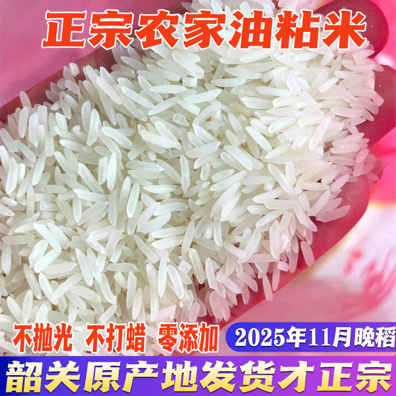 正宗马坝油粘米象牙香粘2025晚稻新米不抛光无添加农家米长粒稻谷,粮油调味/速食/干货/烘焙,大米,淘宝优惠券,粉丝福利购,淘宝优惠卷