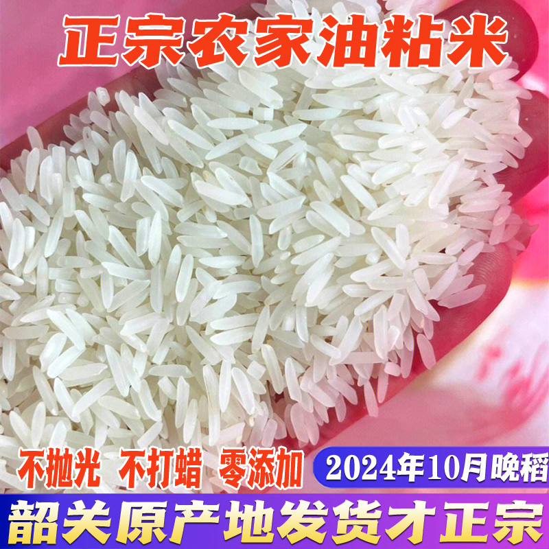 2025马坝油粘新米韶关农家米