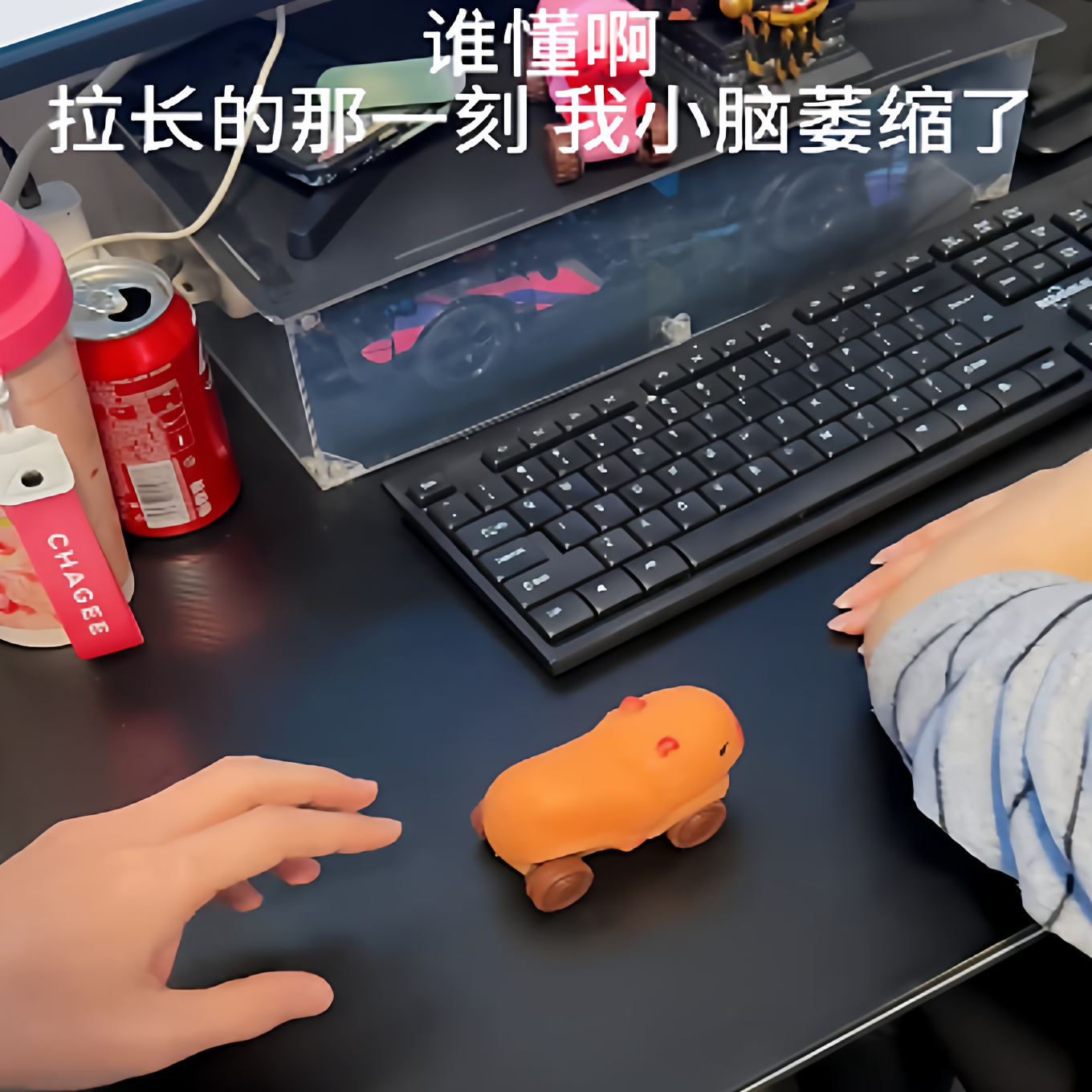 卡皮巴拉减压神器搞怪稀奇古怪玩具生日礼物送男生朋友孩子小玩意