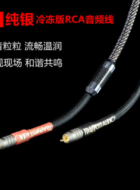 冷冻版5N纯银HIFI发烧音频线