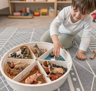 出口蒙氏感官盆开放式儿童启蒙感官训练托盘场景搭建过家家玩具