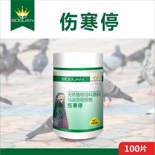 搏冠鸽药伤寒停宁粉剂片剂赛信鸽子用品肠道莎门氏副伤寒鹦鹉博冠