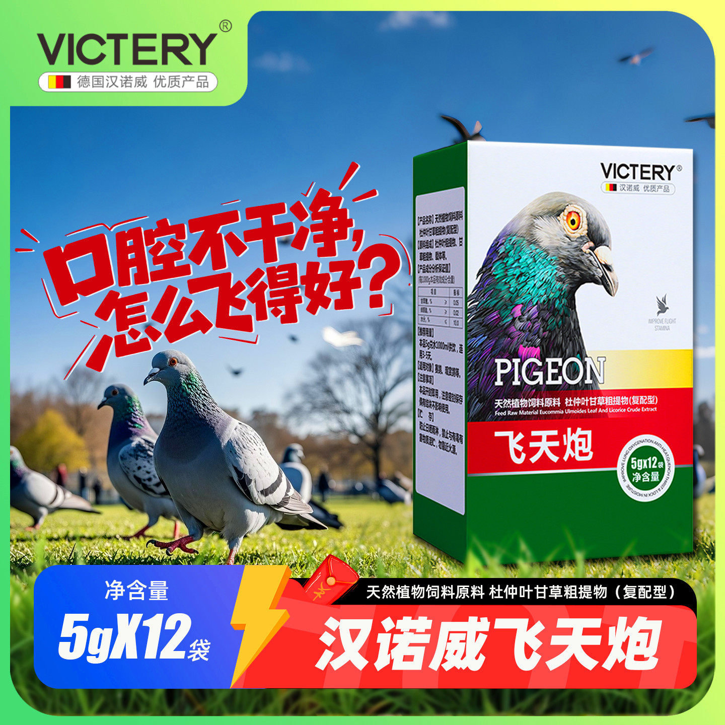 汉诺威飞天炮粉赛信鸽子口起痰红黑鼻头呼噜异声张口水绿便肠道