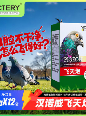 汉诺威飞天炮粉赛信鸽子口黄起痰红黑鼻头呼噜异声张口水绿便肠道