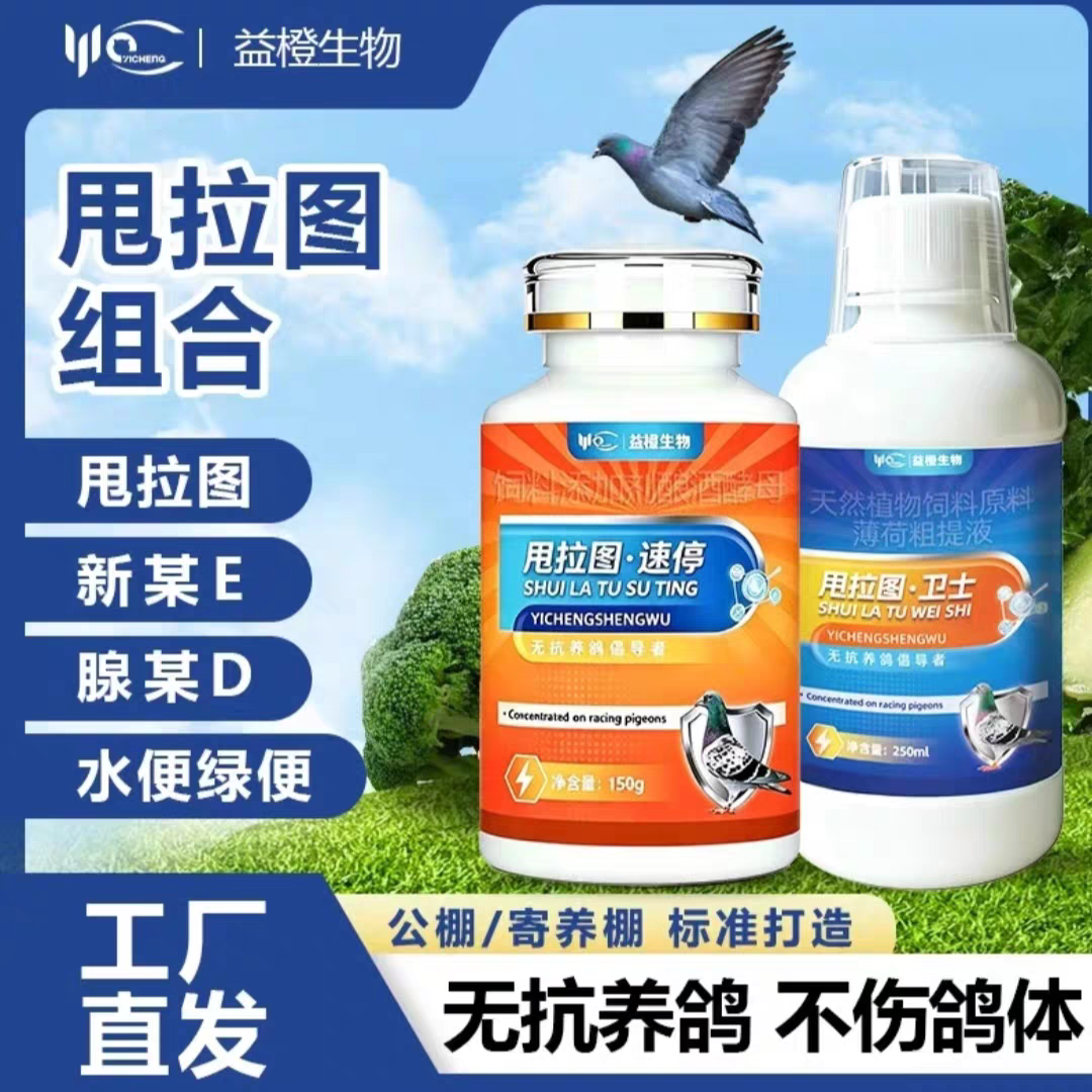 益橙生物甩拉图组合赛鸽因各种原因出现的甩图水便绿便闭眼没精神