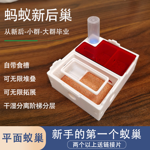 蚁巢平面巢干湿分离新后巢蚂蚁城堡生态箱蚂蚁工坊学生蚂蚁观察盒