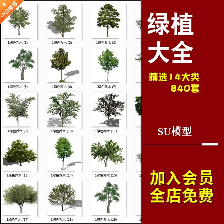 园林景观植物花草乔木花卉盆栽庭院SU草图大师模型Sketchup素材