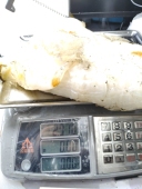 5.8斤太岁肉灵芝完整野外捡 活化石