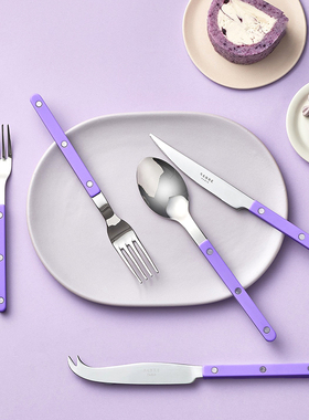 法国Sabre Paris小酒馆紫色不锈钢刀叉勺西餐具套装勺子牛排家用