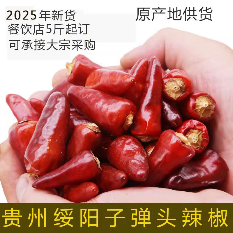 贵州特产遵义绥阳子弹头辣椒小灯笼红辣椒 干海椒 500克 中辣包邮
