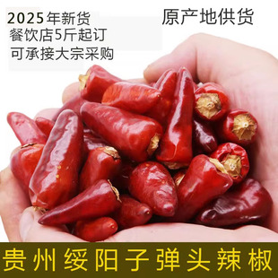 贵州特产遵义绥阳子弹头辣椒小灯笼红辣椒 干海椒 500克 中辣包邮