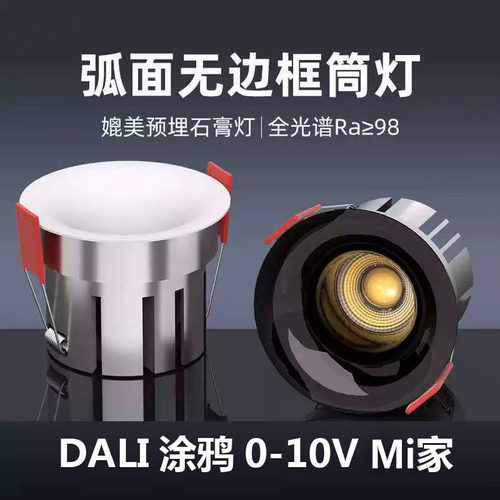 DALI涂鸦0-10V米家嵌入式射灯