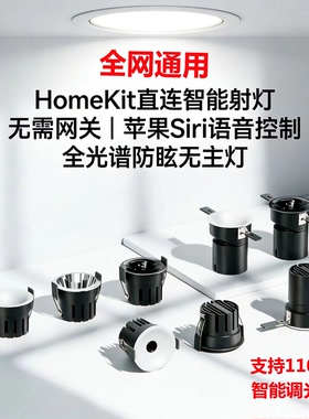 Matter苹果直连HomeKit智能调光调色24V集控全彩RGBCW无主灯射灯