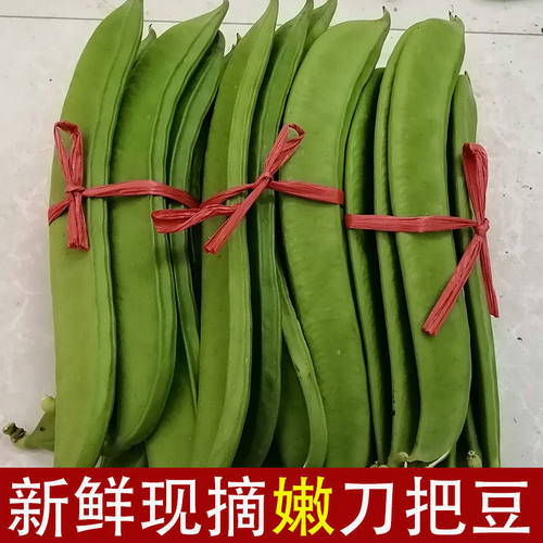 江西现摘特嫩刀豆5斤装泡菜料