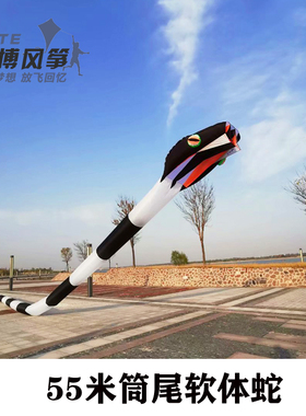 潍坊风筝新款伞布筒尾软体蛇风筝大型高档成人易飞无骨架荔华牌