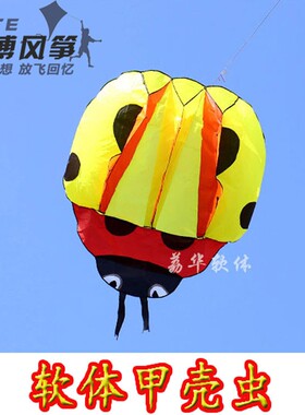 新款成人高档软体瓢虫灯笼双心八爪鱼风筝 无骨架风筝好飞包邮