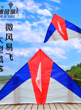 正品王侉子风筝544软伞布碳杆三角风筝 大型高档夜光风筝易飞包邮