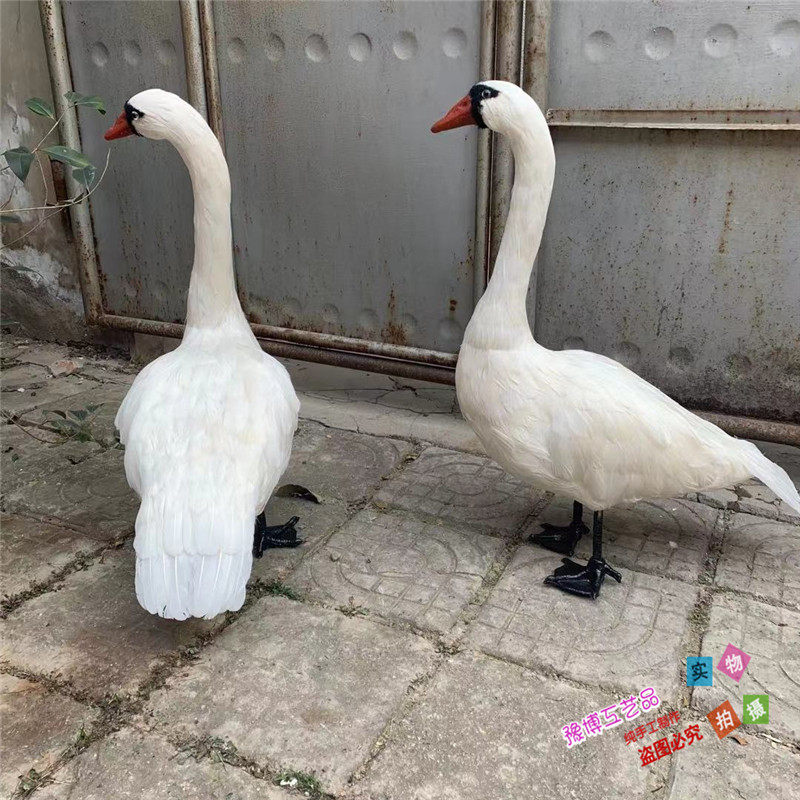 室内摄影道具舞台白天鹅装饰摆件