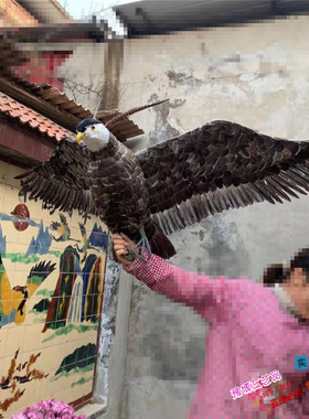 仿真园林影视拍摄道具模型