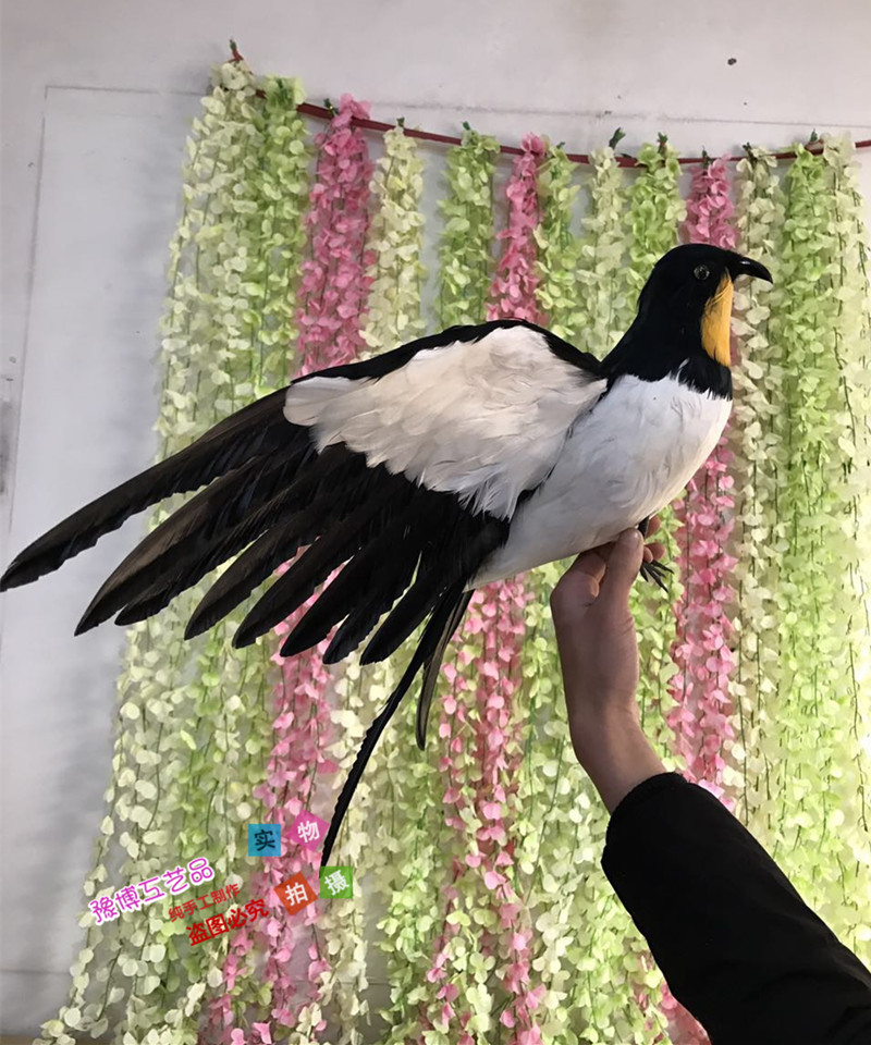 仿真羽毛金丝燕影视园林拍摄道具家燕室内家居摆件马来西亚燕子