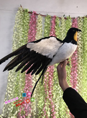 仿真羽毛金丝燕影视园林拍摄道具家燕室内家居摆件马来西亚燕子