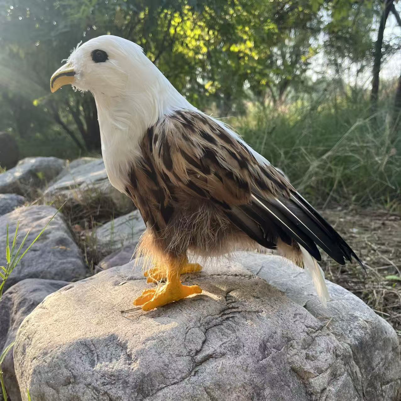 仿真老鹰模型户外庭院生态摆件