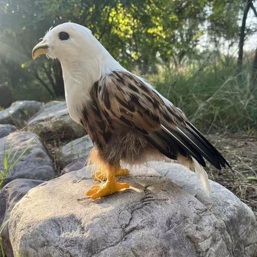 仿真老鹰模型户外庭院生态摆件
