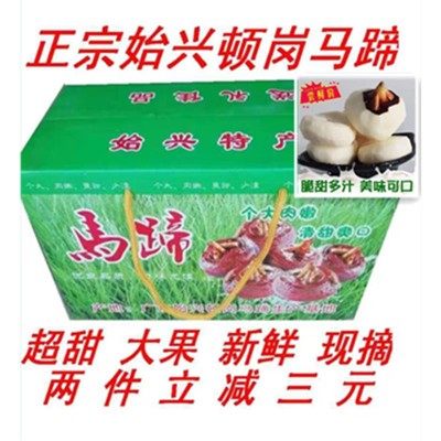 马蹄即食新鲜水果现摘现发粤北韶关始兴特产正宗顿岗大果 5斤包邮