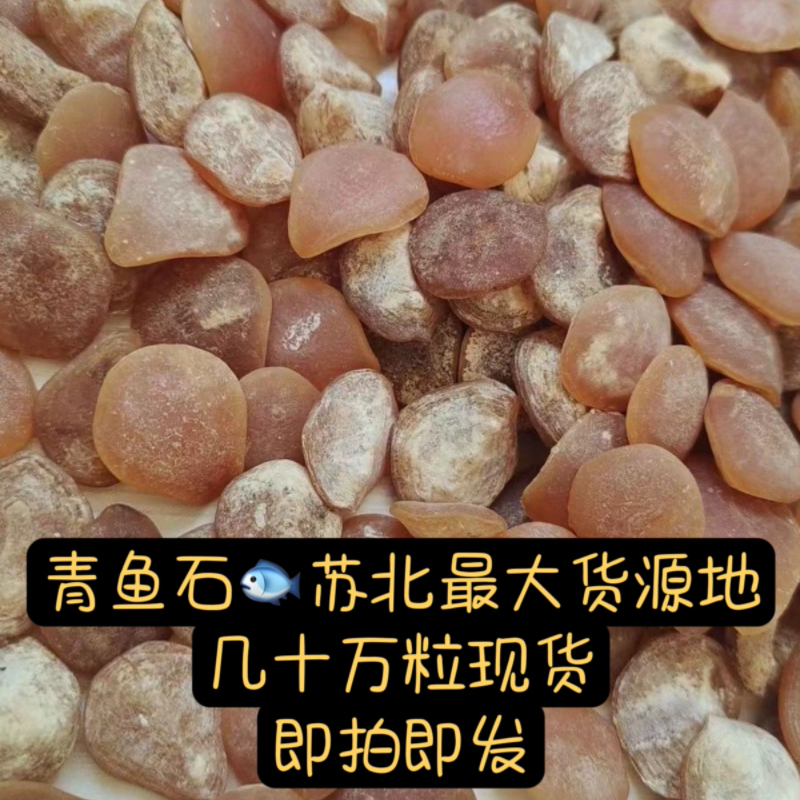 青鱼石吊坠鱼惊石打磨雕刻饰品原料宝宝手链防夜惊护身石真青鱼石