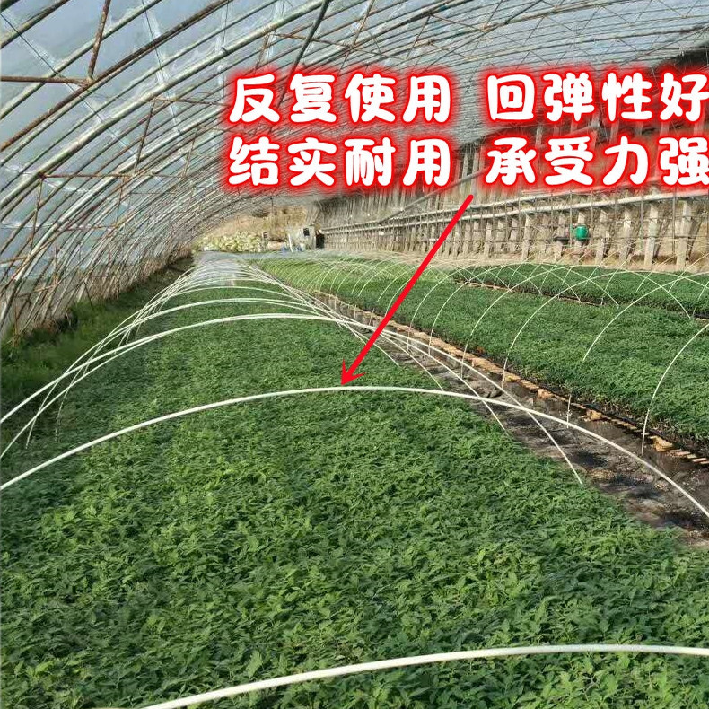 大小拱棚支架 农用蔬菜暖棚花卉拱竿骨架育苗拱棚竿地拱塑料杆