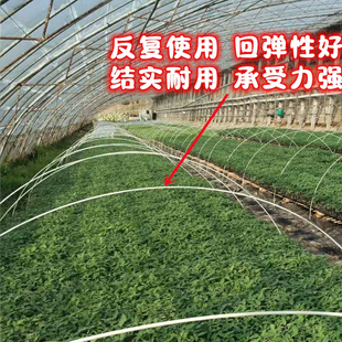 大小拱棚支架 农用蔬菜暖棚花卉拱竿骨架育苗拱棚竿地拱塑料杆