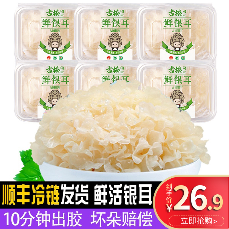 古松福建特产古田新鲜银耳非干货雪耳丑耳 白木银耳莲子羹6朵700g