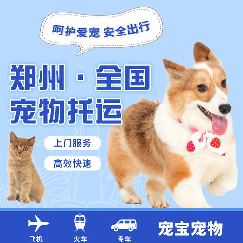 郑州全国宠物托运宠物进客舱宠物随机手续航空运输高铁宠物专车