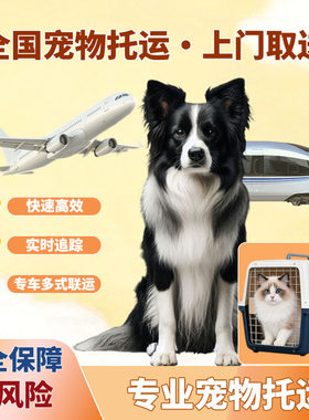 哈尔滨沈阳宠物托运宠物托运手续办理宠物进客舱飞机高铁宠物专车