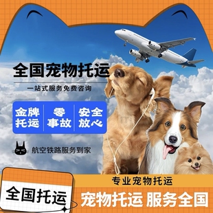 广州深圳宠物托运宠物随机手续办理宠物进客舱飞机高铁托运宠物