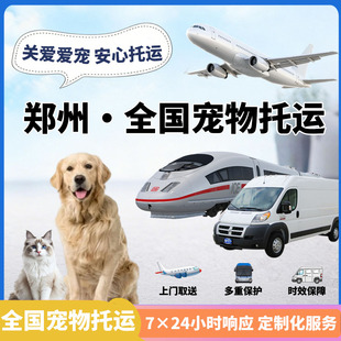郑州全国宠物托运宠物随机手续办理宠物进客舱飞机高铁托运宠物