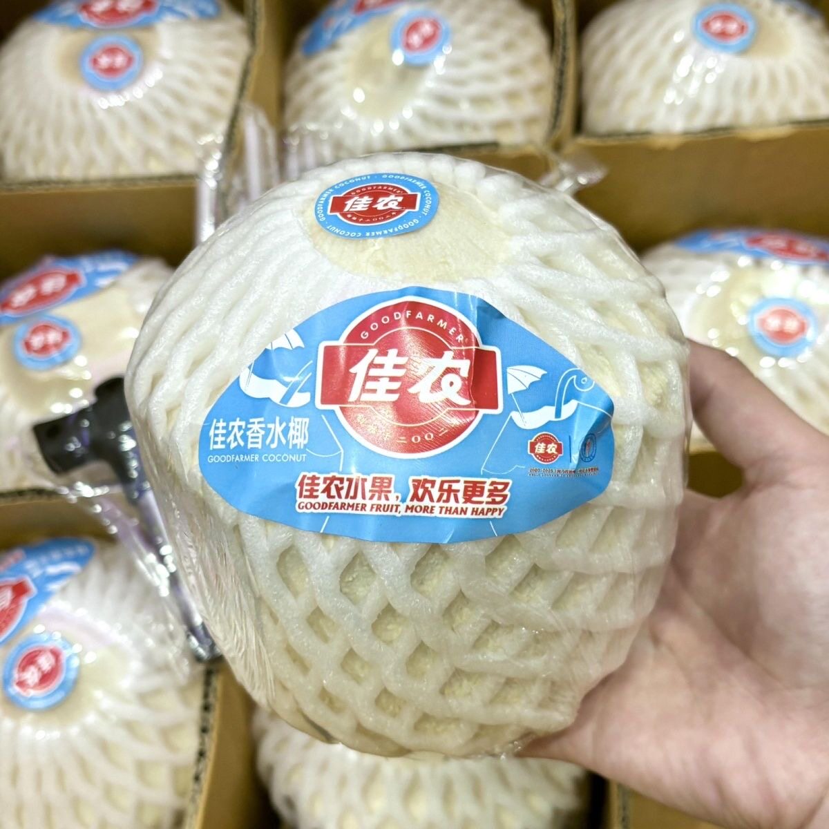 佳农椰青整件9颗单果900g顺丰包邮同城配送带开口器易开椰子泰国