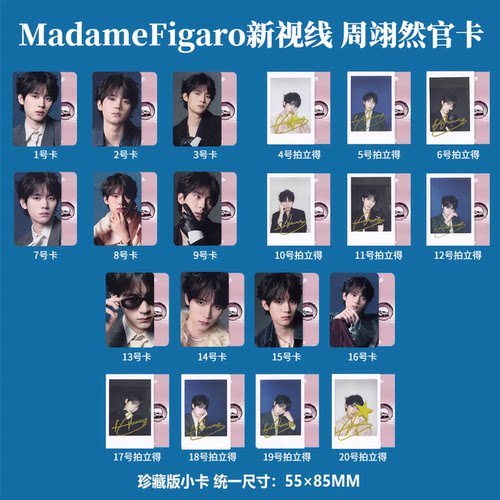 【正品保真】费加罗 11月 周翊然官方小卡/自拍拍立得 MadameFigaro新视线2025年十一月 无杂志