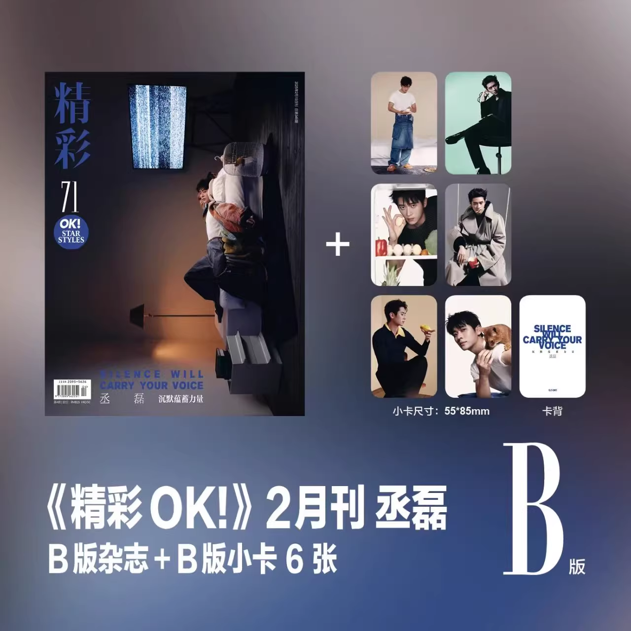 正版 精彩ok！二月 丞磊A/B封面+赠6张官方小卡 精彩OK杂志2025年2月第348期/时尚竞技场/南都娱乐/F 风尚志/ELLE