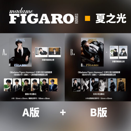 费加罗男士 12月 夏之光A/B版封面+赠4张官方随机小卡+2张拍立得 Madame Figaro Hommes新视线杂志2025年十二月/红秀/睿士/时装